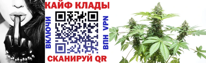 Купить наркотики цена Владикавказ Канабис Меф Псилоцибиновые грибы ГАШИШ