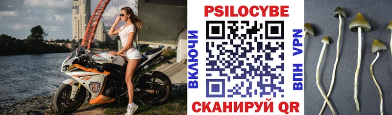 Галлюциногенные грибы ЛСД  наркота  Владикавказ 
