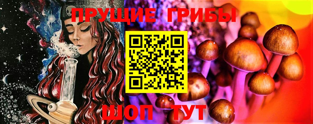 Псилоцибиновые грибы Magic Shrooms  Галлюциногенные грибы Psilocybe  Вход с VPN  Владикавказ 
